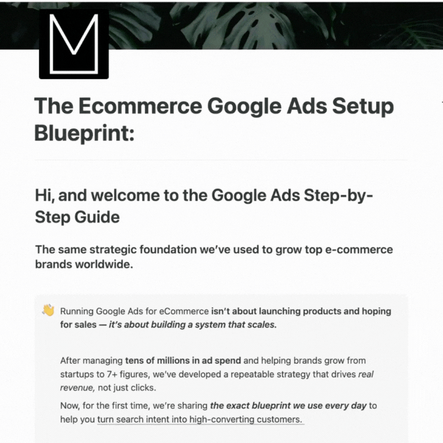 The Ecommerce Full Launch System